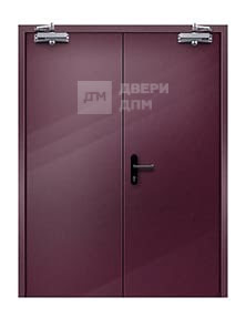 Двупольная глухая ДПМ-02 EI-30 противопожарная дверь со скрытыми петлями